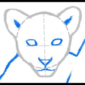 300x300 Refrence How To Draw A Lion Step