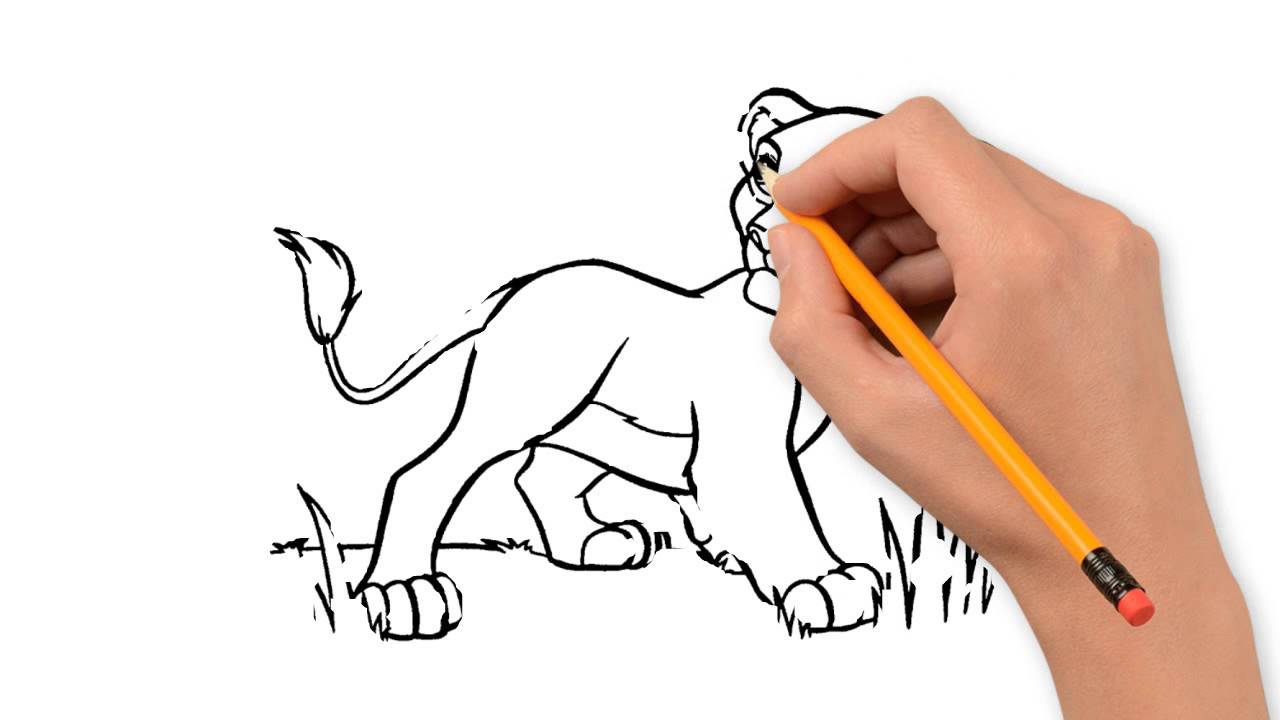1280x720 Lion Animals Pencil To Draw Step