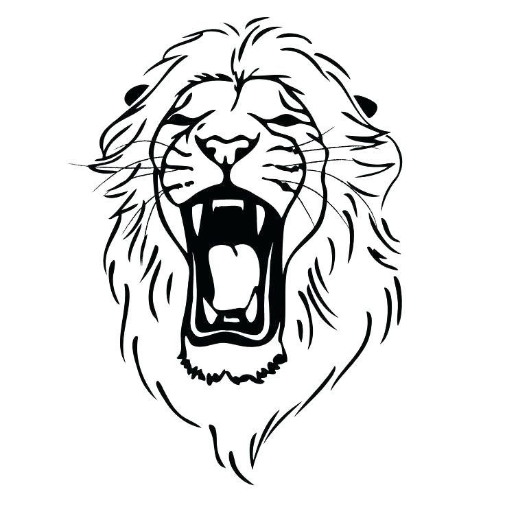 736x736 Lion How To Draw Zupa