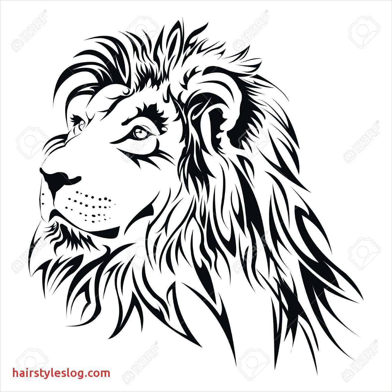 1300x1300 Diy Concept Lion Head Art Drawing With Regard To The House Lion