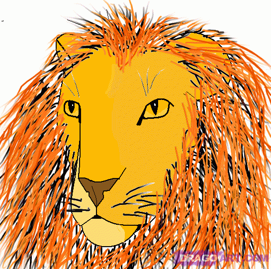 545x541 How To Draw A Lion Head, Step