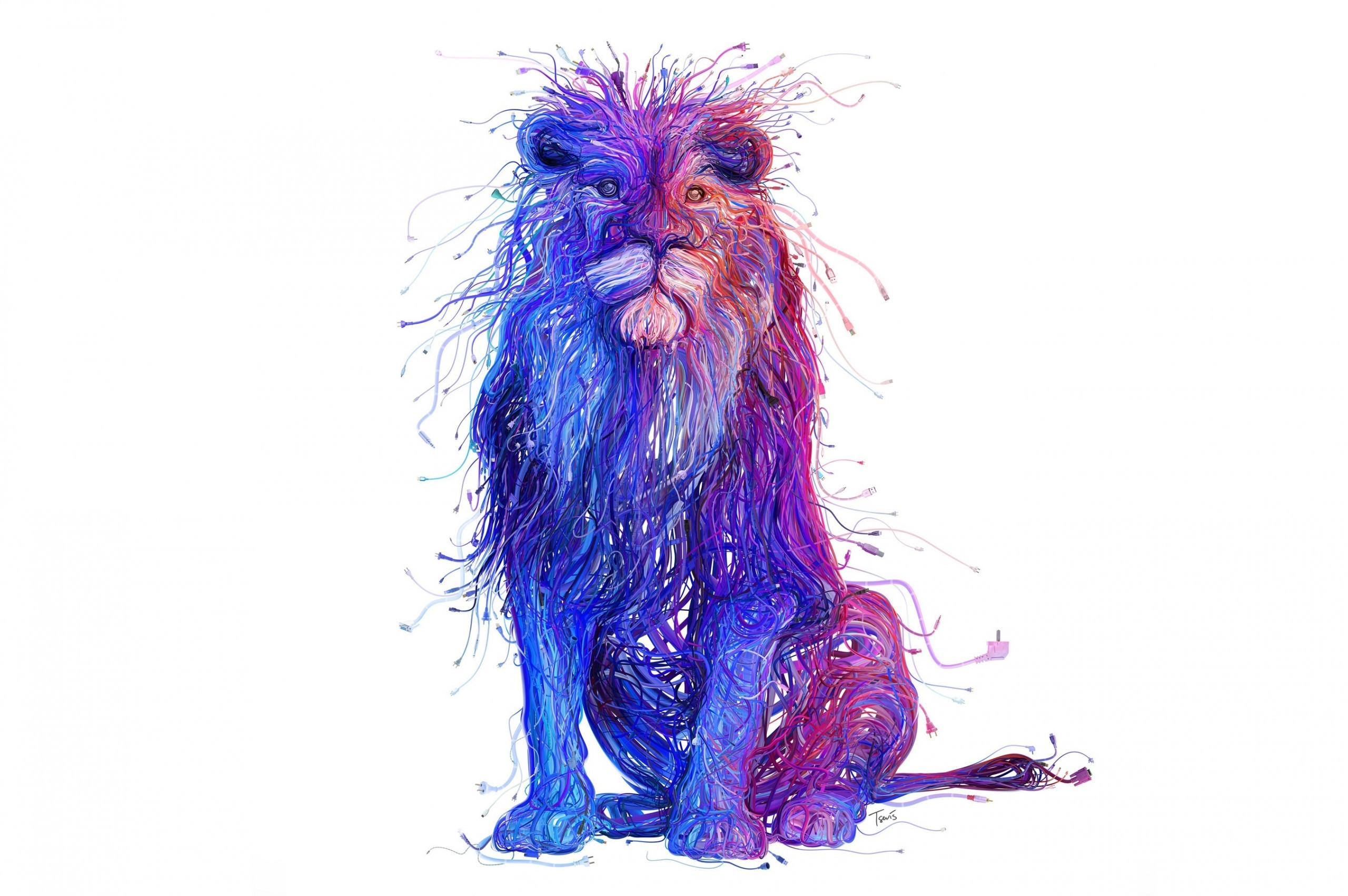 2560x1703 Download Lion, Artistic, Wires Wallpapers