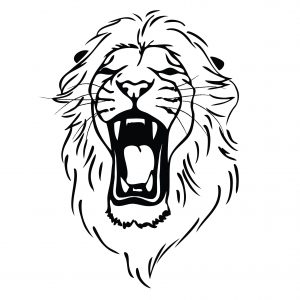 300x300 Drawing Of A Lion New Angry Lion Face Sketch Gallery Outline Lion