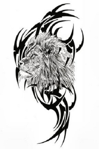320x480 Tribal Lion Tattoo Iphone Wallpaper Download Iphone Wallpaper Club