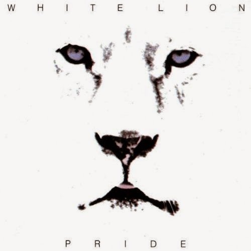 500x500 White Lion Wallpaper Musik Wallpaper