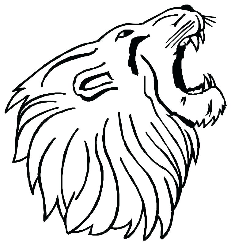 754x800 Coloring Pages Lions