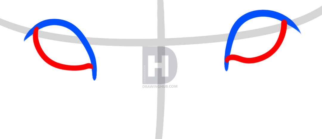 1080x469 How To Draw Lion Eyes, Step