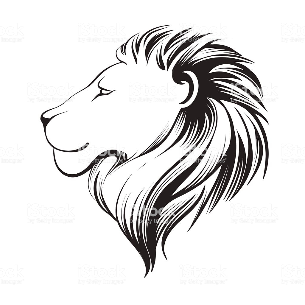 1024x1024 Huge Collection Of 'lion Profile Drawing' Download More Than