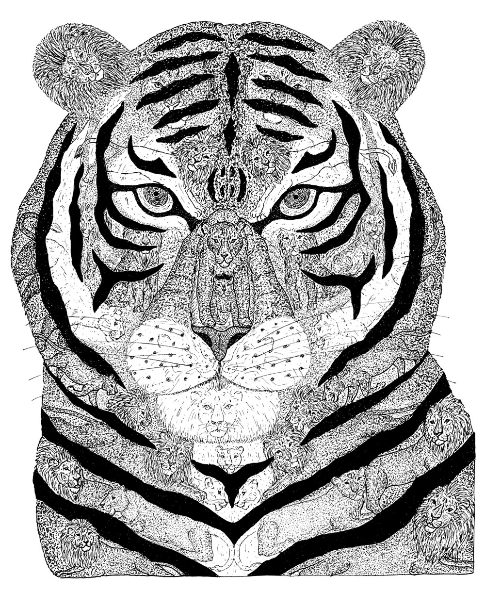 1000x1220 Wild Exotic Animals Gallery Chazmania