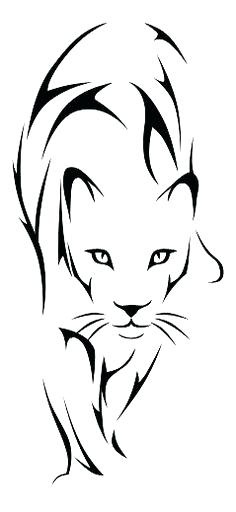 236x512 Simple Lion Drawing Basic Lion Face Drawing