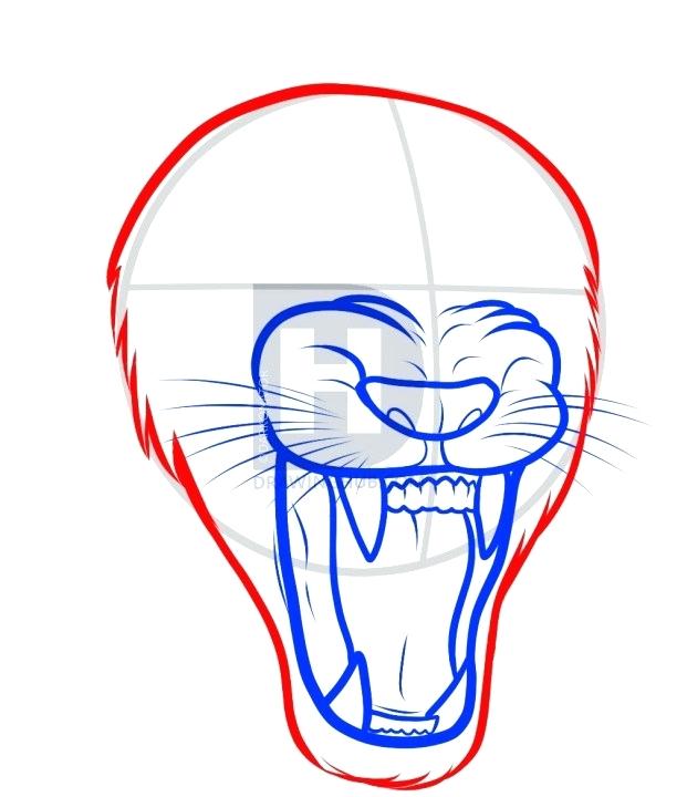 621x720 How To Draw A Lion Head
