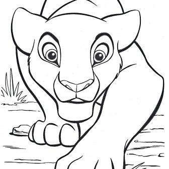 336x336 How To Draw A Lion Face Simple And Body Realistic Side View I