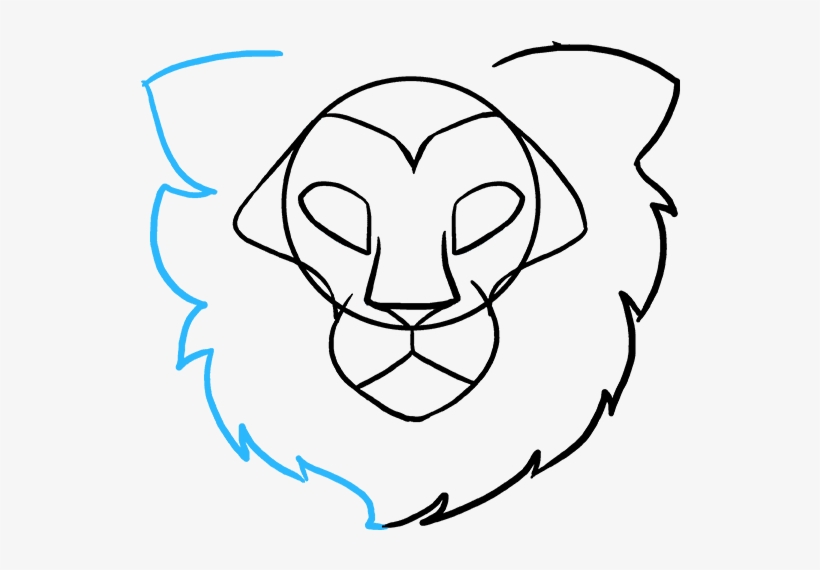820x570 How To Draw Lion Head