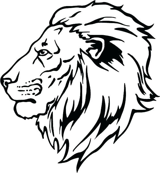 555x600 simple lion face simple lion head tattoo design simple lion face