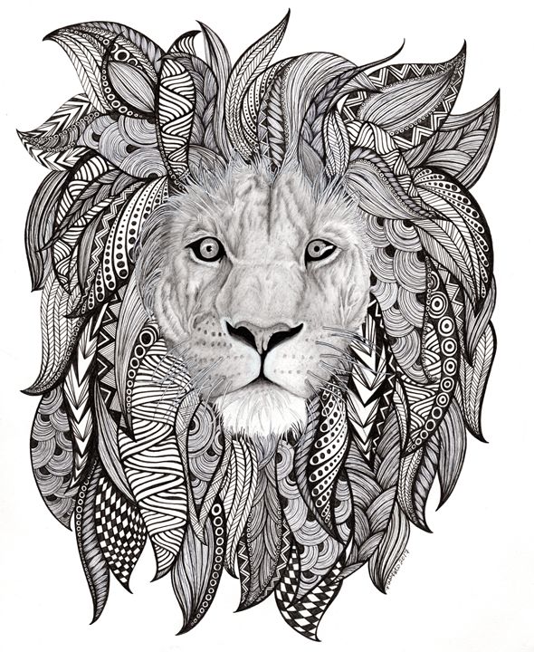 590x720 King Of The Jungle