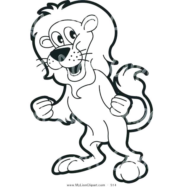 618x630 Of Lion Outline Drawing Coloring Pages Printable Face Cub