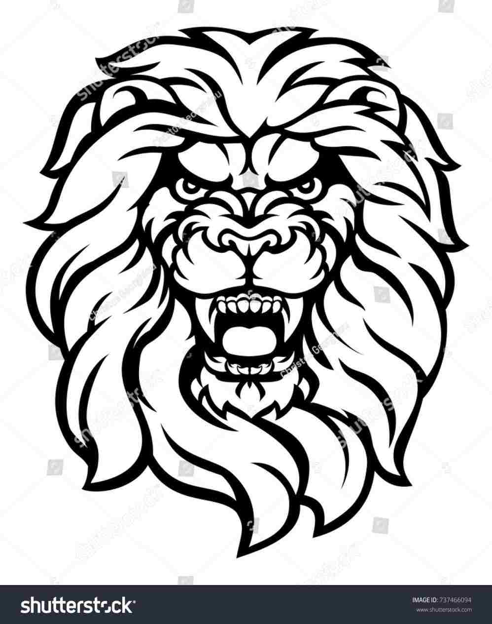 998x1264 Pencil Lion Face Roaring Drawing S Of Jesus Roar