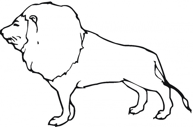 650x429 Lion Template