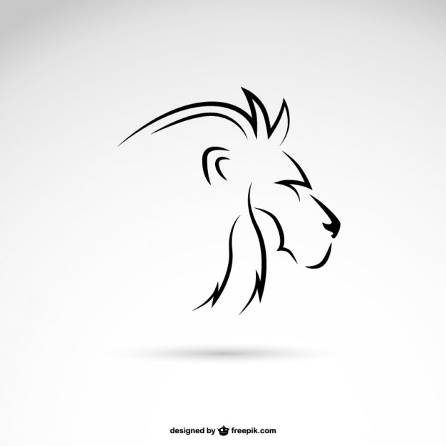 626x626 Lion Vectors, Photos And Free Download