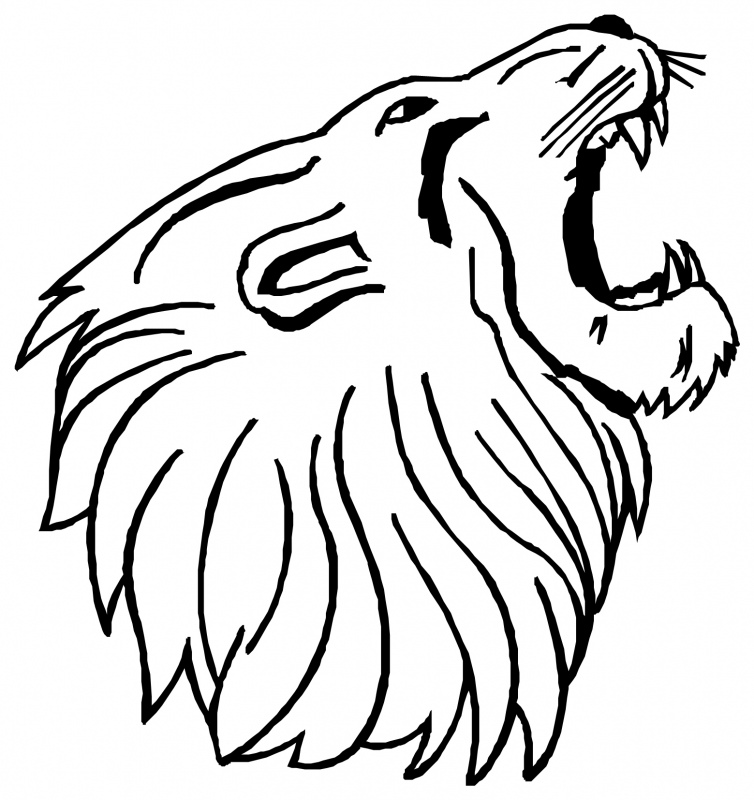 754x800 Collection Of 'lion Mouth Drawing' Download More Than Images