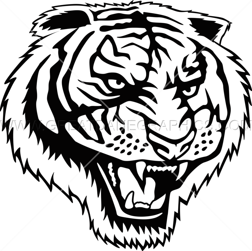 825x823 Tigers Drawing Roar Transparent Png Clipart Free Download