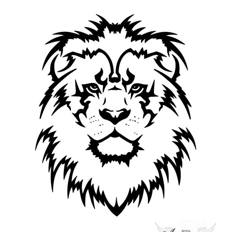 752x768 How To Draw A Cartoon Lion Head