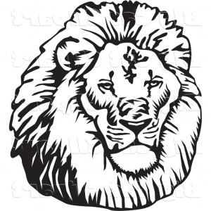 300x300 Colorful Hand Drawn Lion Head Vector Clipart Sohadacouri