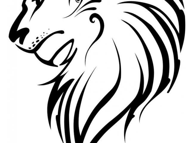 640x480 Lion Head Drawing