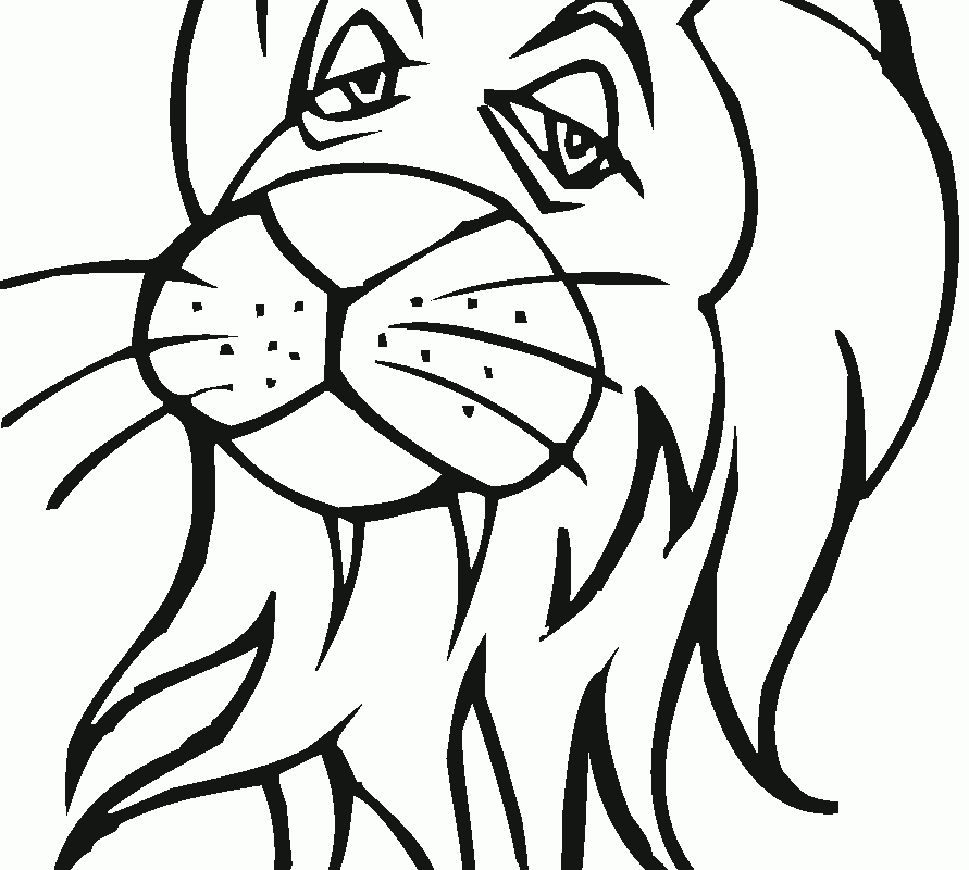 891x800 Adultring Pages Lion Head And Zentangled Incredibleuring