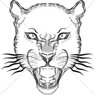 325x325 Cartoon Lion Head Gl Stock Images