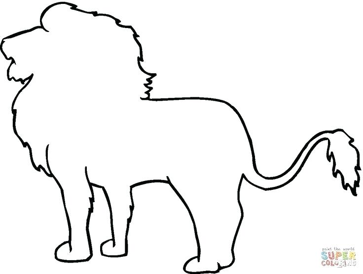 736x557 Lion Outline Cartoon Outline Lion Clipart