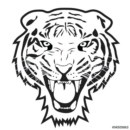 500x500 Tiger Outline Drawing Tiger Template White Tiger Outline Drawing