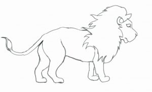 300x182 endorsed pictures of lions to draw how a lion king nala hellokids com