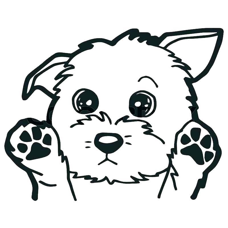 800x800 Hyena Coloring Pages Na Coloring