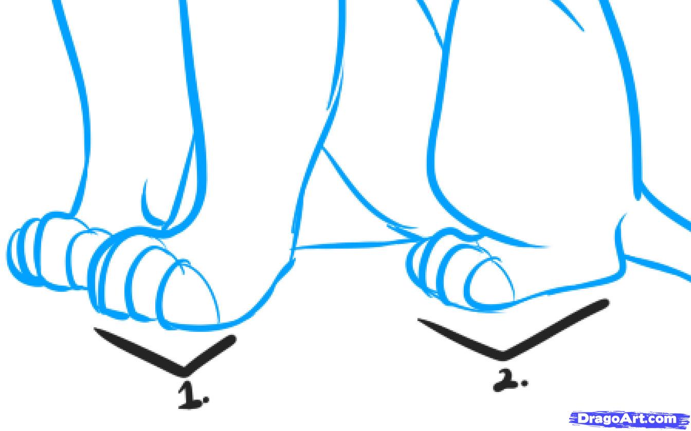 1344x839 draw a lion king lion, lion king lions, step