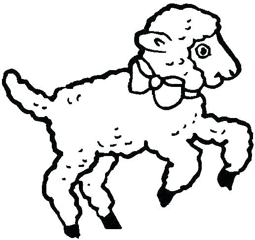 517x486 Lion And Lamb Coloring Pages Lion And Lamb Coloring Pages Lamb