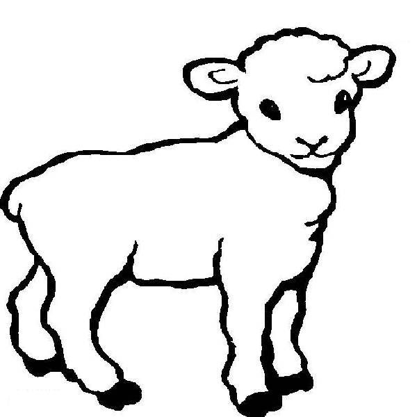 600x600 Lamb Lion Cartoon