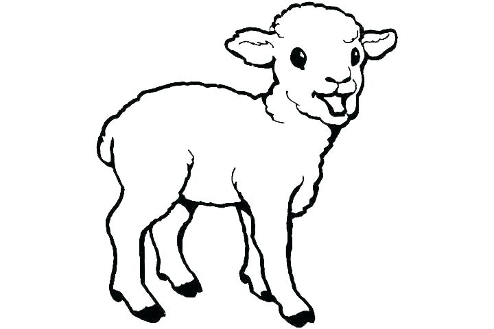 720x480 Lion And Lamb Coloring Pages