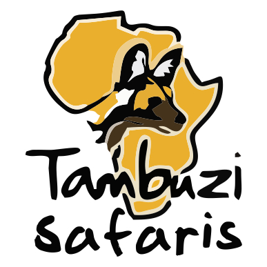 387x387 Lion Lying Down Clipart Collection