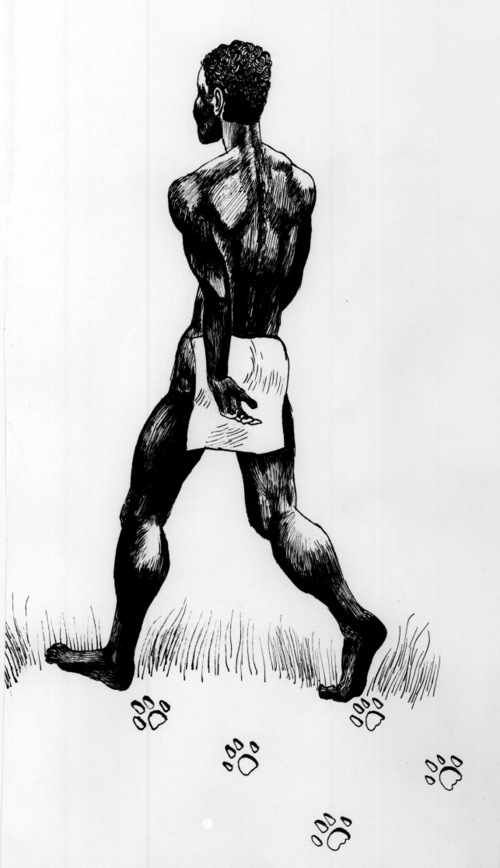 500x868 Illustrations And Photos Lion Man