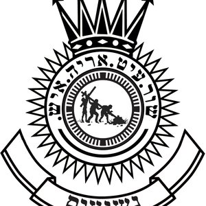 300x300 Ox Eagle Lion Man Medium Drowned Tee