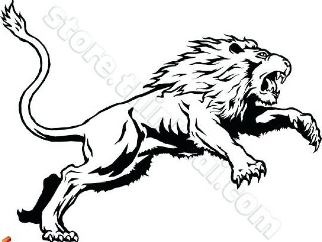 640x480 Roar Clipart Lion Man