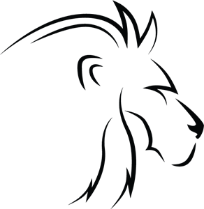 292x300 Huge Collection Of 'lion Line Drawing' Download More Than