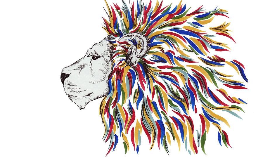 900x541 Mane Of Color Drawing