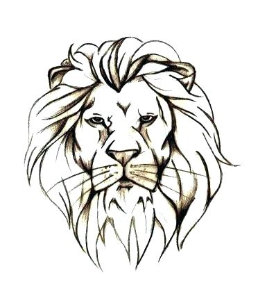 372x410 Simple Lion Drawing Simple Cute Lion Drawing Basic Lion Drawing