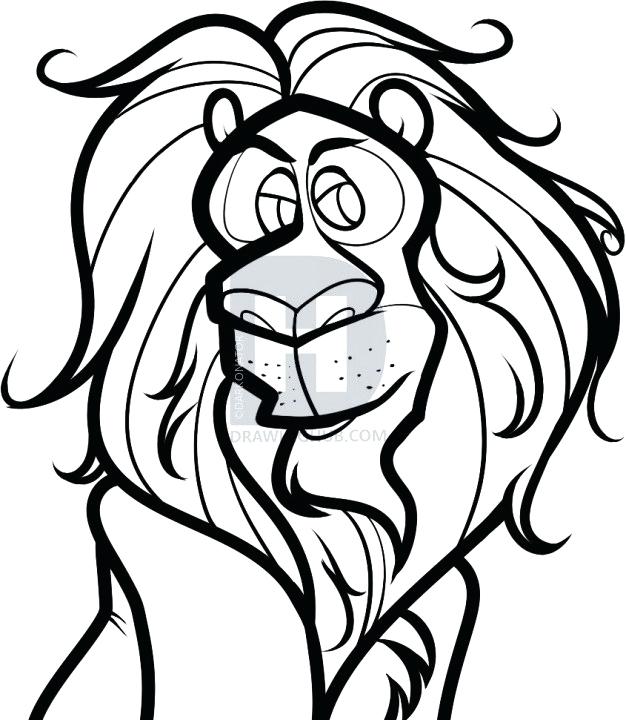 626x720 Easy To Draw Lion Description Well You Are All Done With This