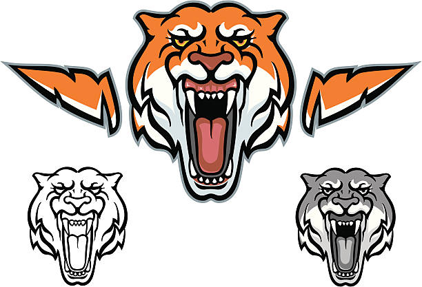 612x417 Mouth Tiger Fun Pics Images