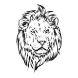 160x160 Beautiful Leo With Open Mouth And Fangs Wild Animal, Predator