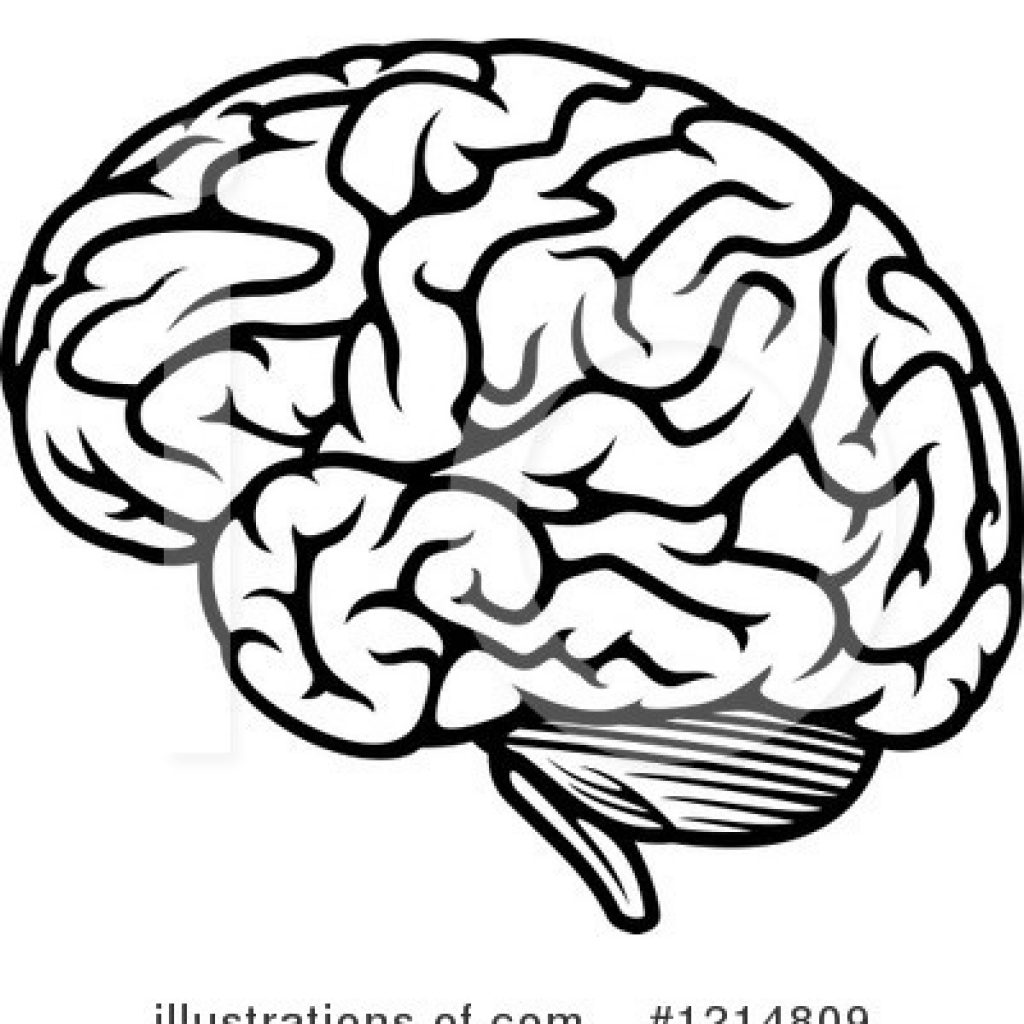1024x1024 Brain Clipart Lion Clipart House Clipart Online Download