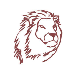 256x256 lion of judah